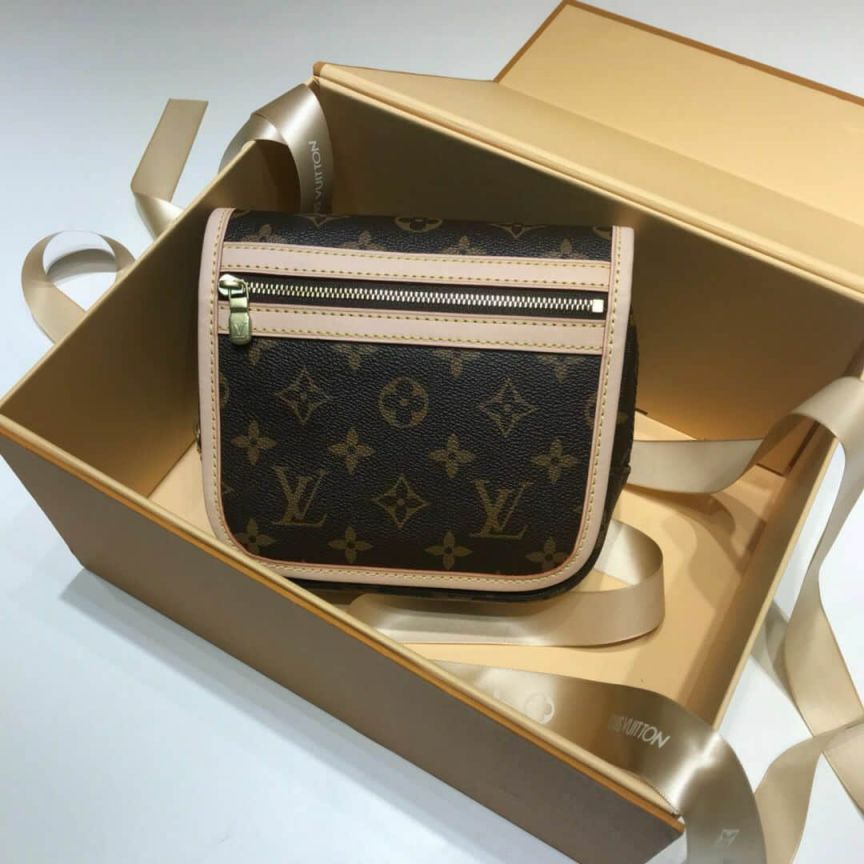 LV Waist Bags M40108