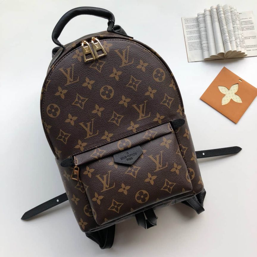 LV Backpack Bags /M41560