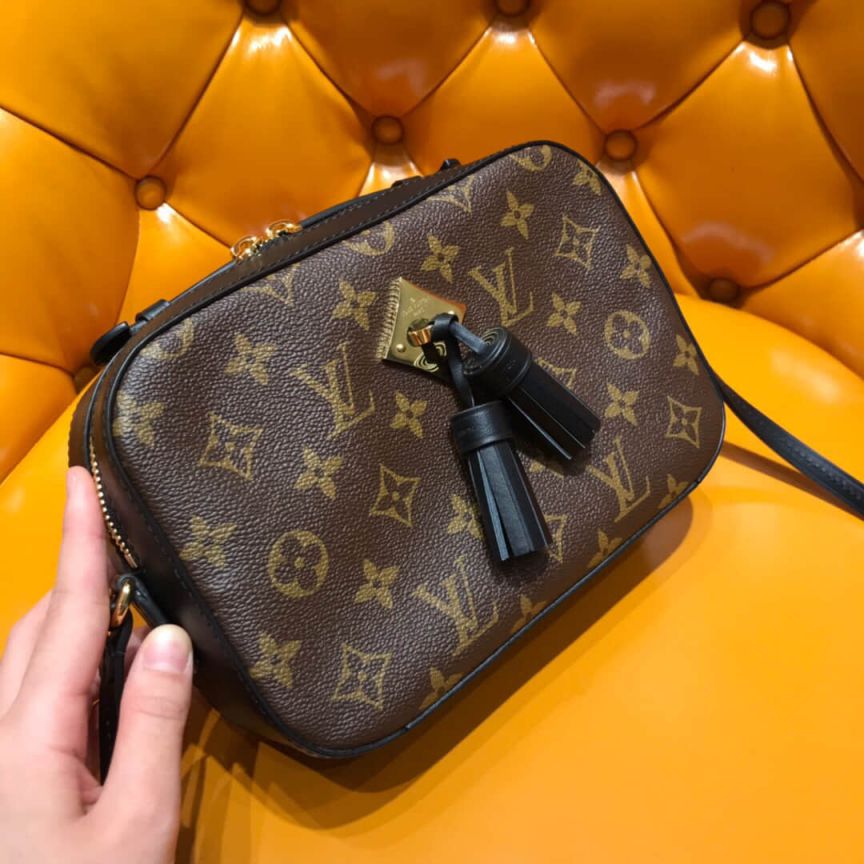 LV Shoulder Bags M43555 SAINTONGE