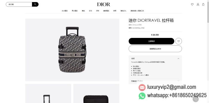 replica men dior bags