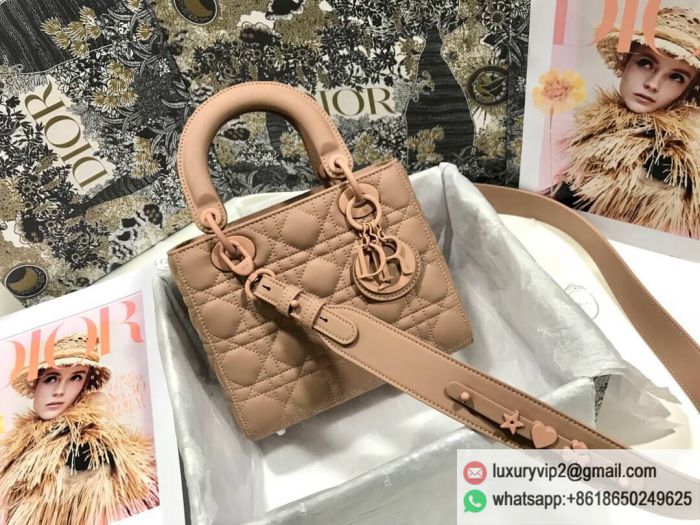 Lady Dior My Pink Tote Bags