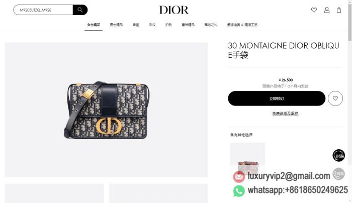 replica women Dior bags