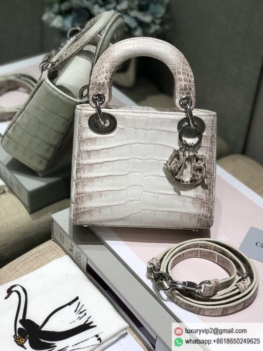 replica women Dior bags