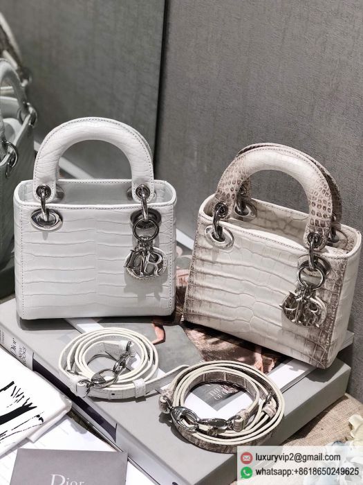 replica women Dior bags