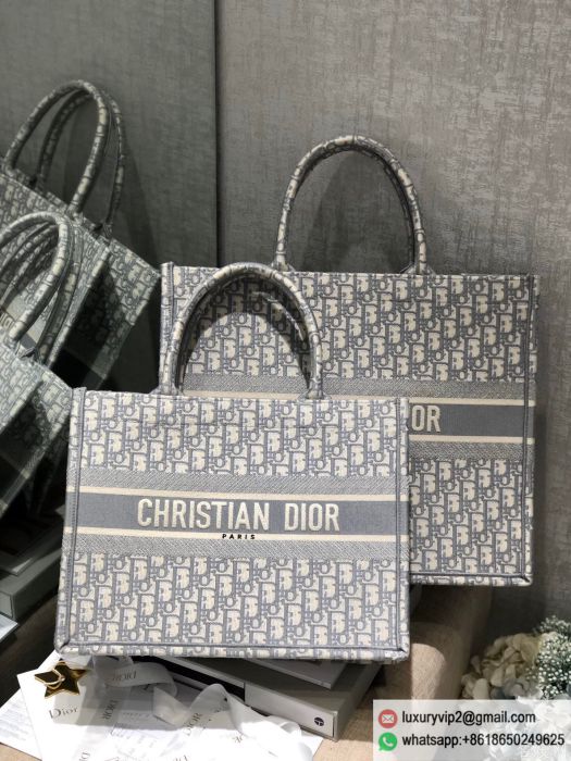 replica women Dior bags