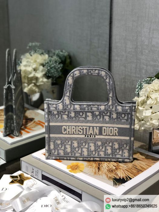 replica women Dior bags