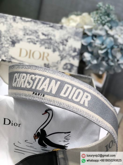 replica women Dior bags