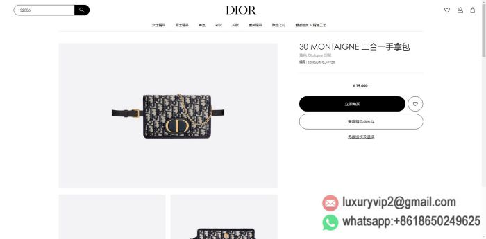 replica women Dior bags