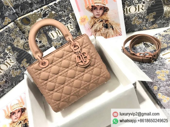 replica women Dior bags