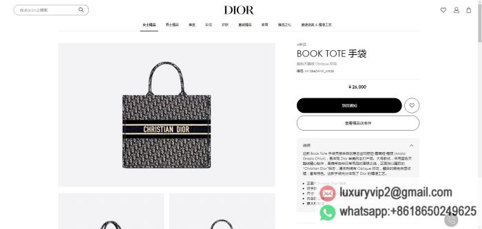 replica women Dior bags