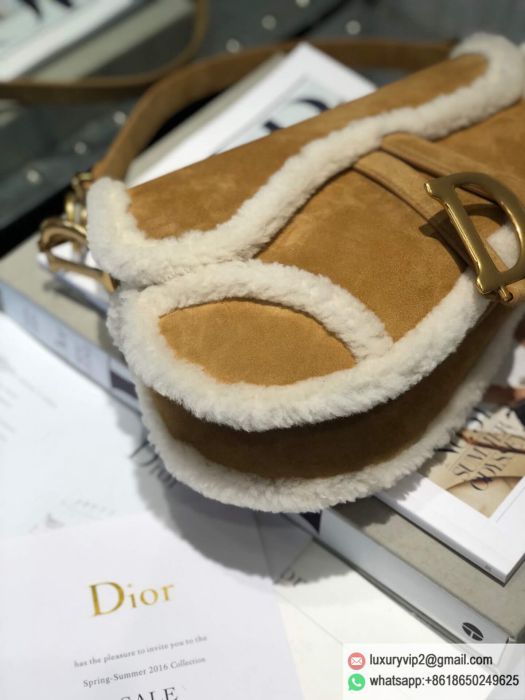 replica women Dior bags