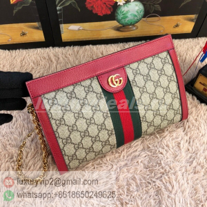 Gucci Women's bag