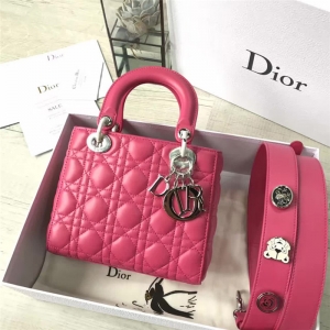 Dior bag