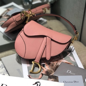 Dior saddle bag