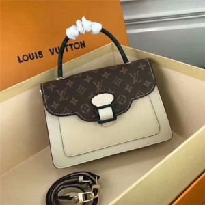 LV new Handbag