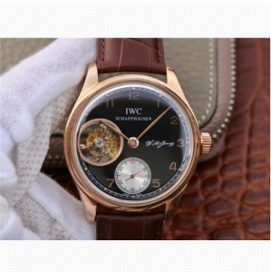 IWC Portuguese Series I watch