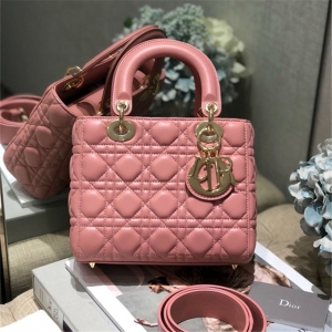 Dior Handbag