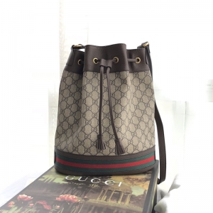 Gucci women's bag