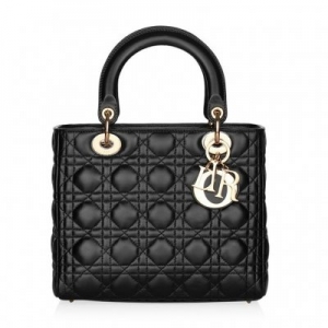 Dior Dior Handbag