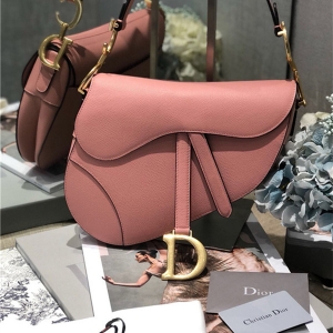 Dior saddle bag